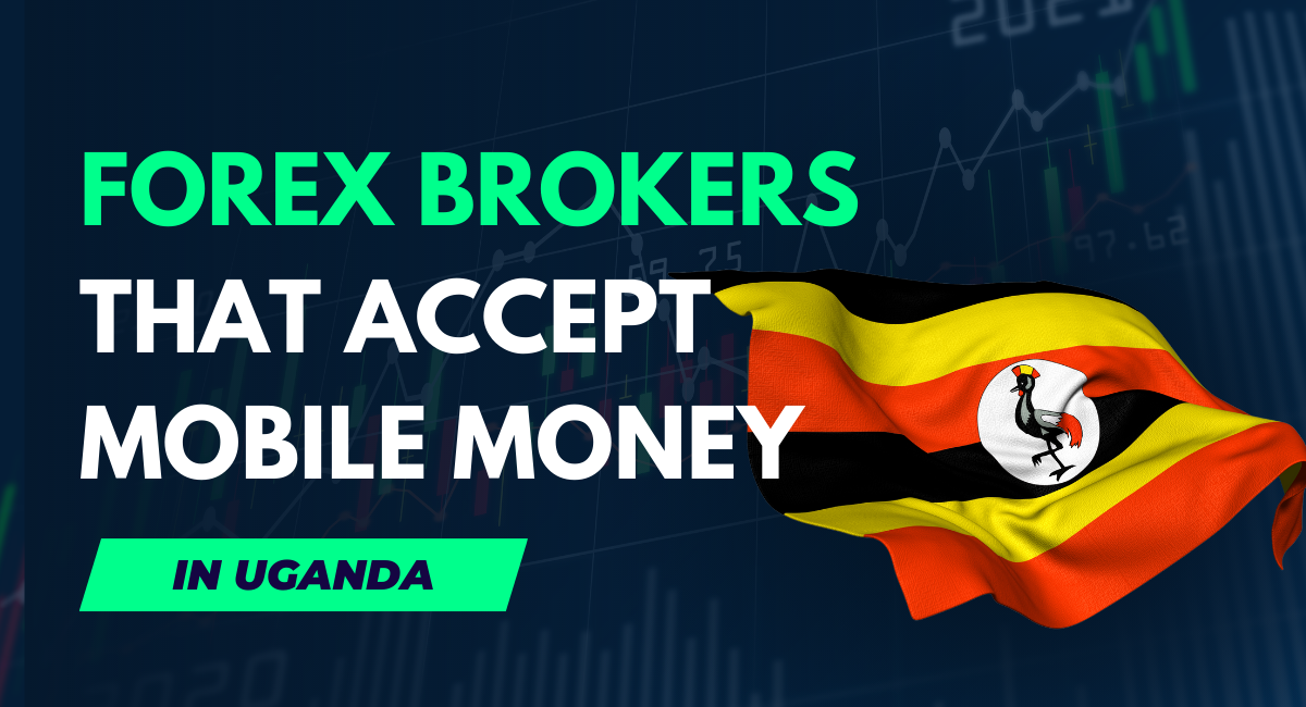 Top 10 Best Forex Brokers that Accept Mobile Money